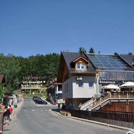 Apartament nad Kamienną Schreiberhau Exterior foto